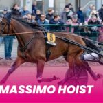 Finsk i Elitloppet Massimo-Hoist_1920x1080