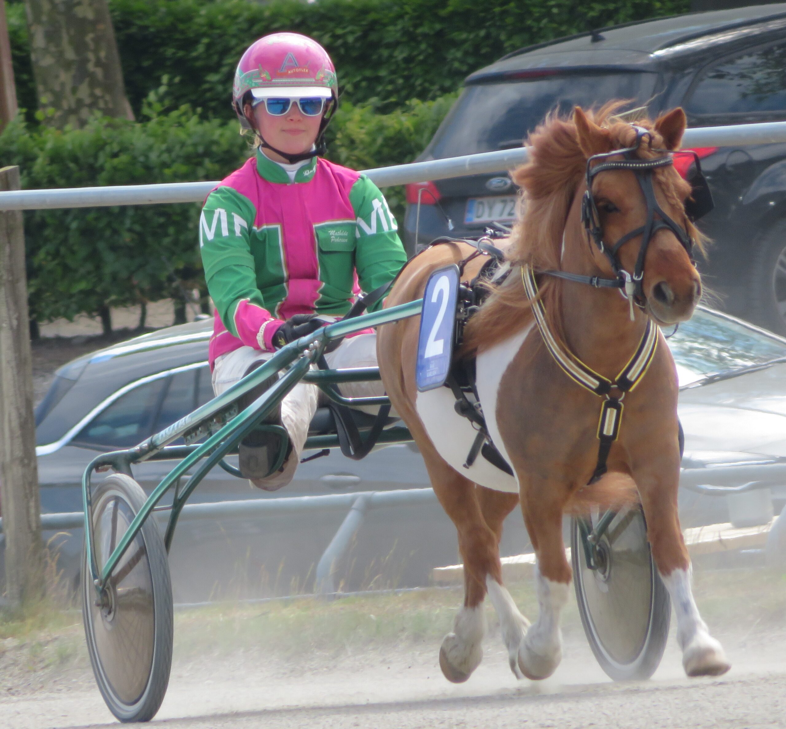 Mathilde med Hedens Polo scaled