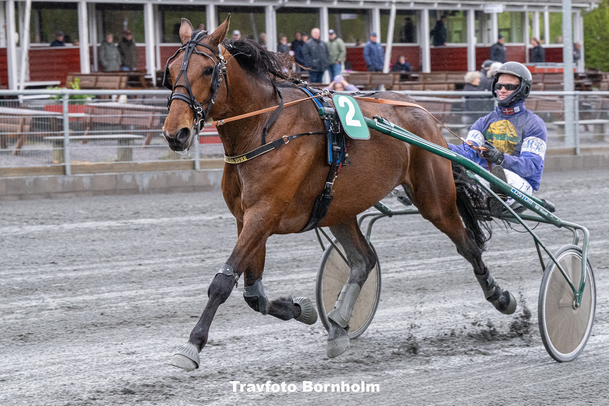Myrsjoes Rune med Mads K Mogensen 3 maj 2025 Fotograf Torben Ager Travfoto Bornholm TKA 8443