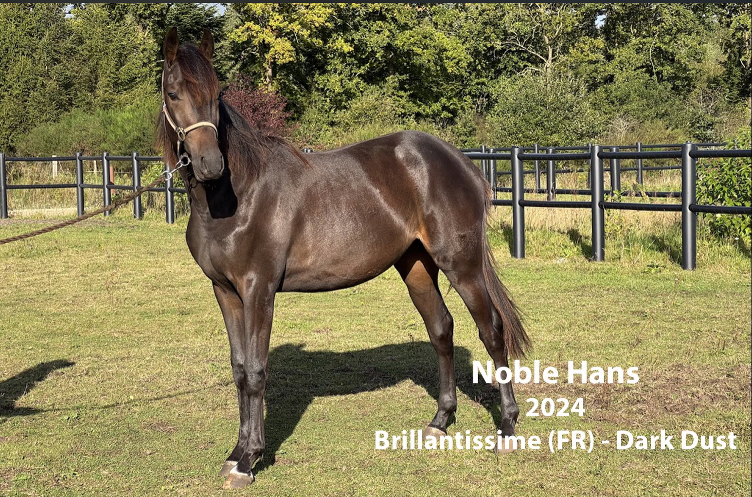 Noble