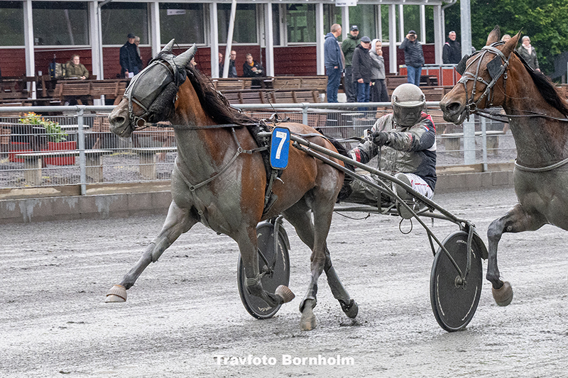 Noche del Amor med John Gommans 10 juni 2025 Fotograf Torben Ager Travfoto Bornholm TKA 1383