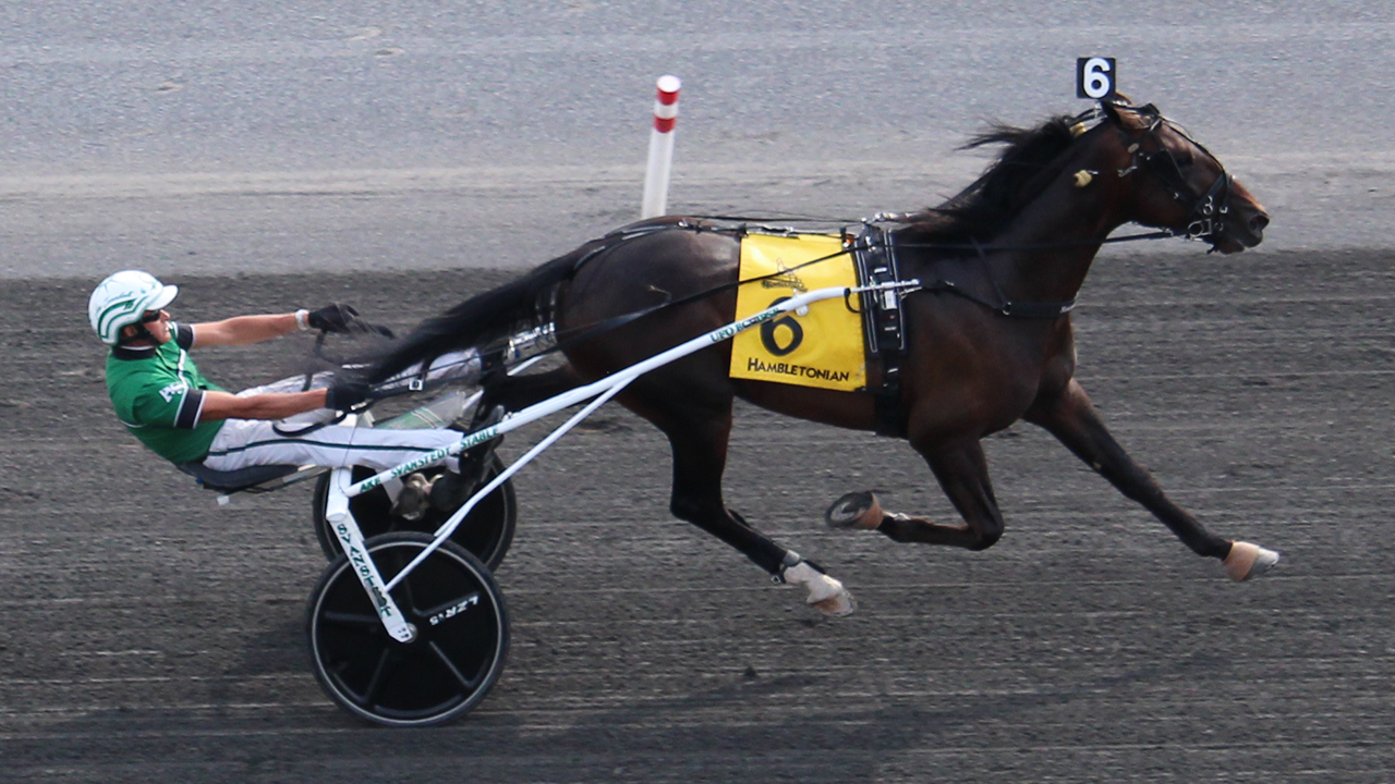 Hambletonian: Vinderen er født og opvokset hos Stutteri Spring & Stald Tårs NordicCatcher-Hambo100-Witherite