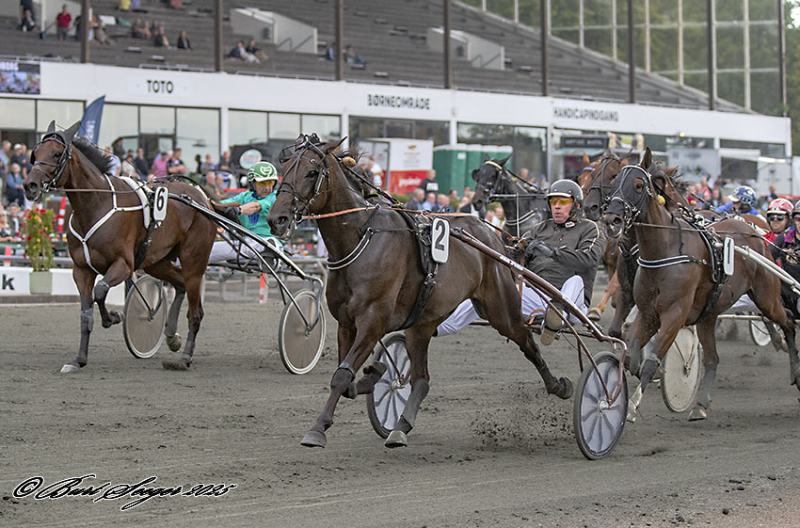 OBELIX VRIJTHOUT S2 7919