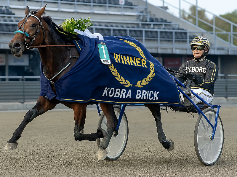Breeders’ Crown: - Glamorous Rain´s rekord slået Opret-et-billede-af-800x600-1