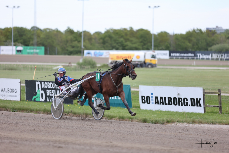 Anders Pedersen har 20 års jubilæum i år - Vandt i går OtisDragon_2772