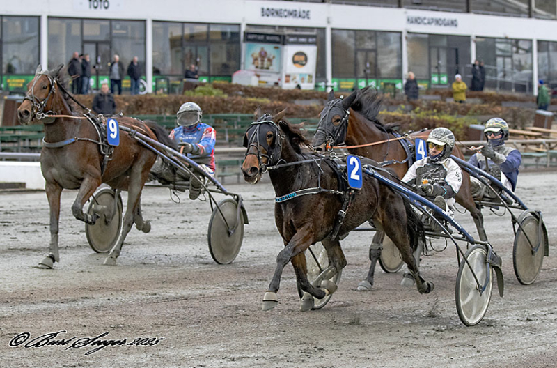 PETIT PITON BOKO S2 3350