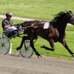 Interessant afkom efter V75‑vinder til start Interessant afkom efter V75‑vinder til start