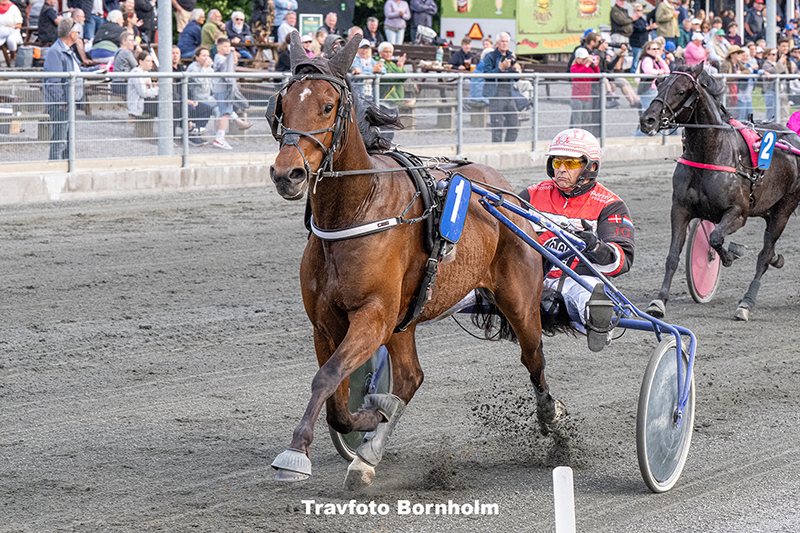 Pimms No One B med John Gommans 17 juni 2025 Fotograf Torben Ager Travfoto Bornholm TKA 2266
