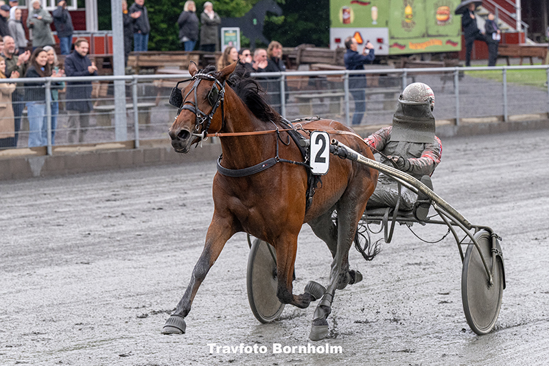Readytorace Bira med Mads Petersen 10 juni 2025 Fotograf Torben Ager Travfoto Bornholm TKA 1700