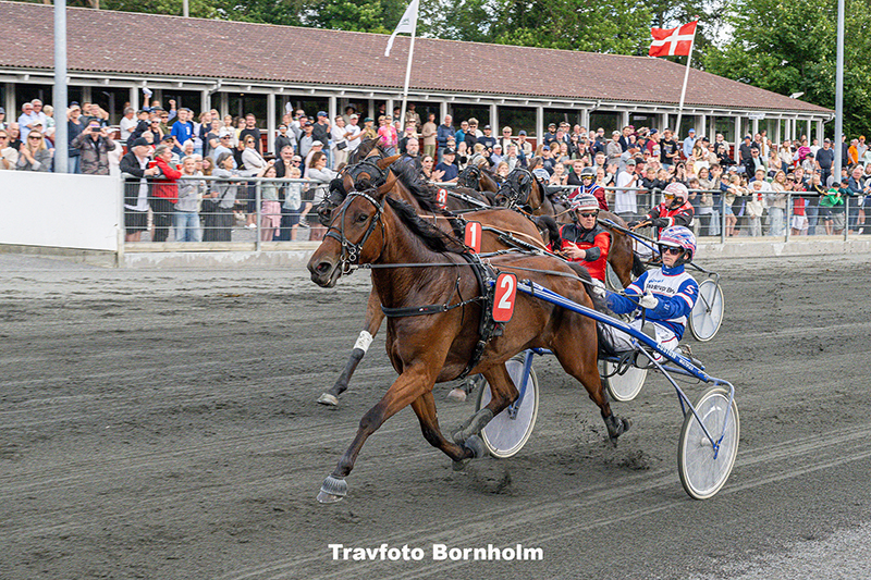 Readytorace Bira med Nicklas Steinlain 8 juli 2025 Fotograf Torben Ager Travfoto Bornholm TKA 5297