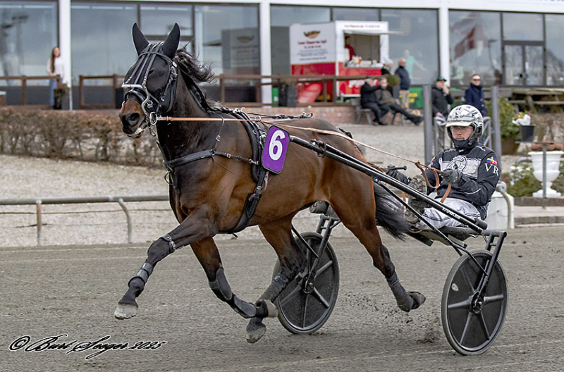 STARO TORINO S2 5274