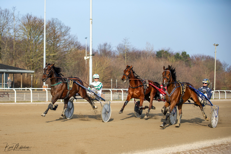 Showman 0282