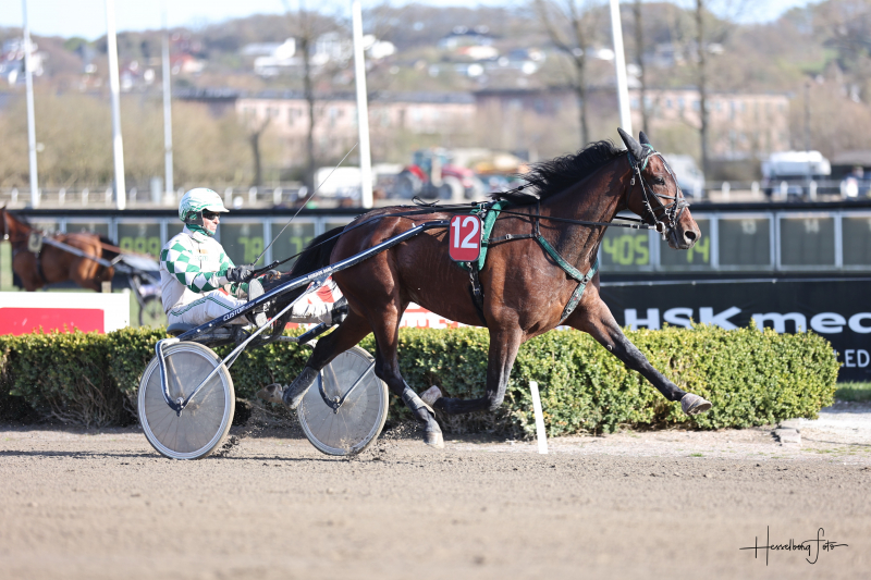 Showman 6578