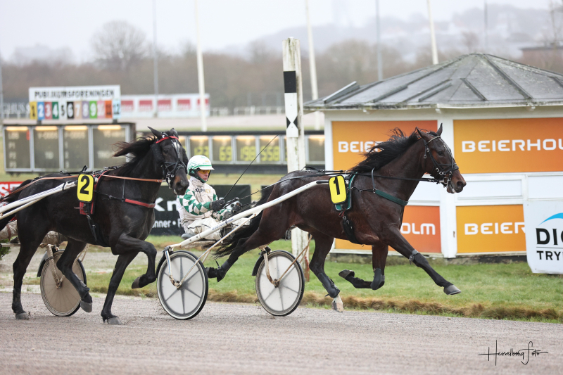 Showman 7319