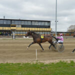St_hlebos_King_260435
