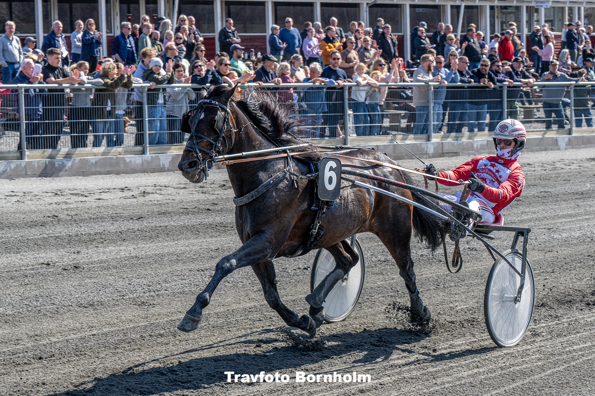 Stonefire U S med Mads Petersen 13 april 2025 Fotograf Torben Ager Travfoto Bornholm TKA 7440