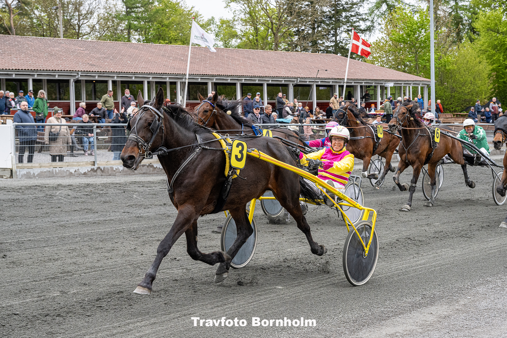 Watergate med Ole Bager 10 maj 2025 Fotograf Torben Ager Travfoto Bornholm TKA 8799