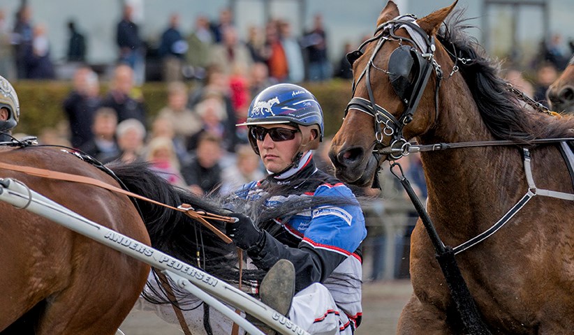 Anders kan nå det anders-pedersen_mgl7125-1-1