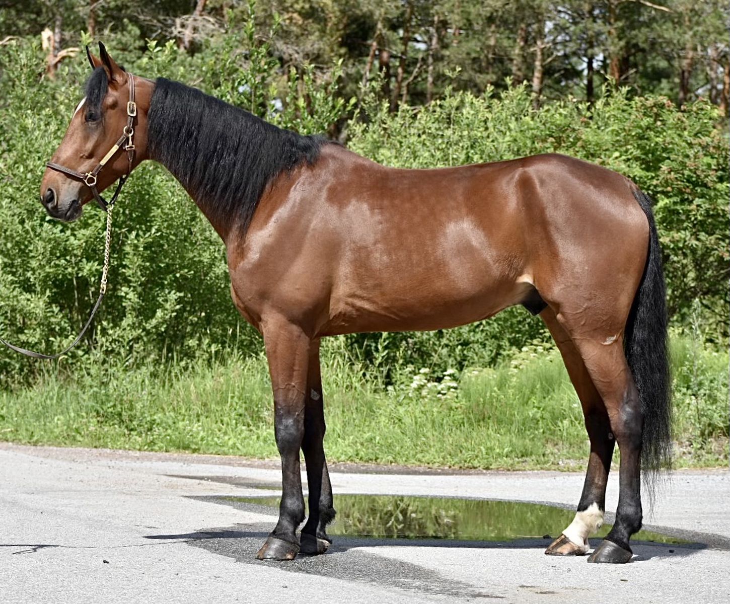 Chipper Kronos – En spændende tilbagevenden for Team Rask b021e9a1801a8401b73880faa8439510