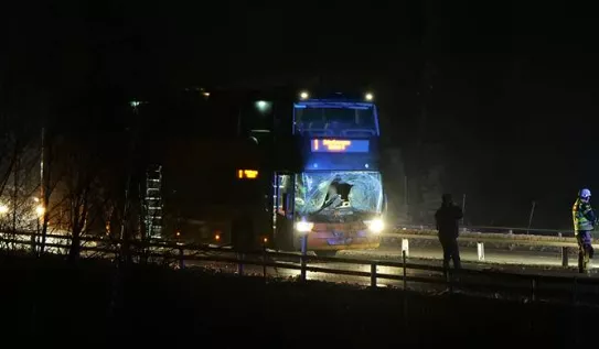 bus