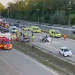 Danmark: Hest omkom i dramatisk motorvejsulykke c4a5c06608a56