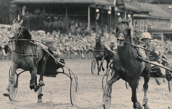 chianti pitt derbysejr