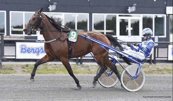 Caripo Ejendomsselskab A/S med nyt køb d26de5ffe796725b9982a8d0da1abb09