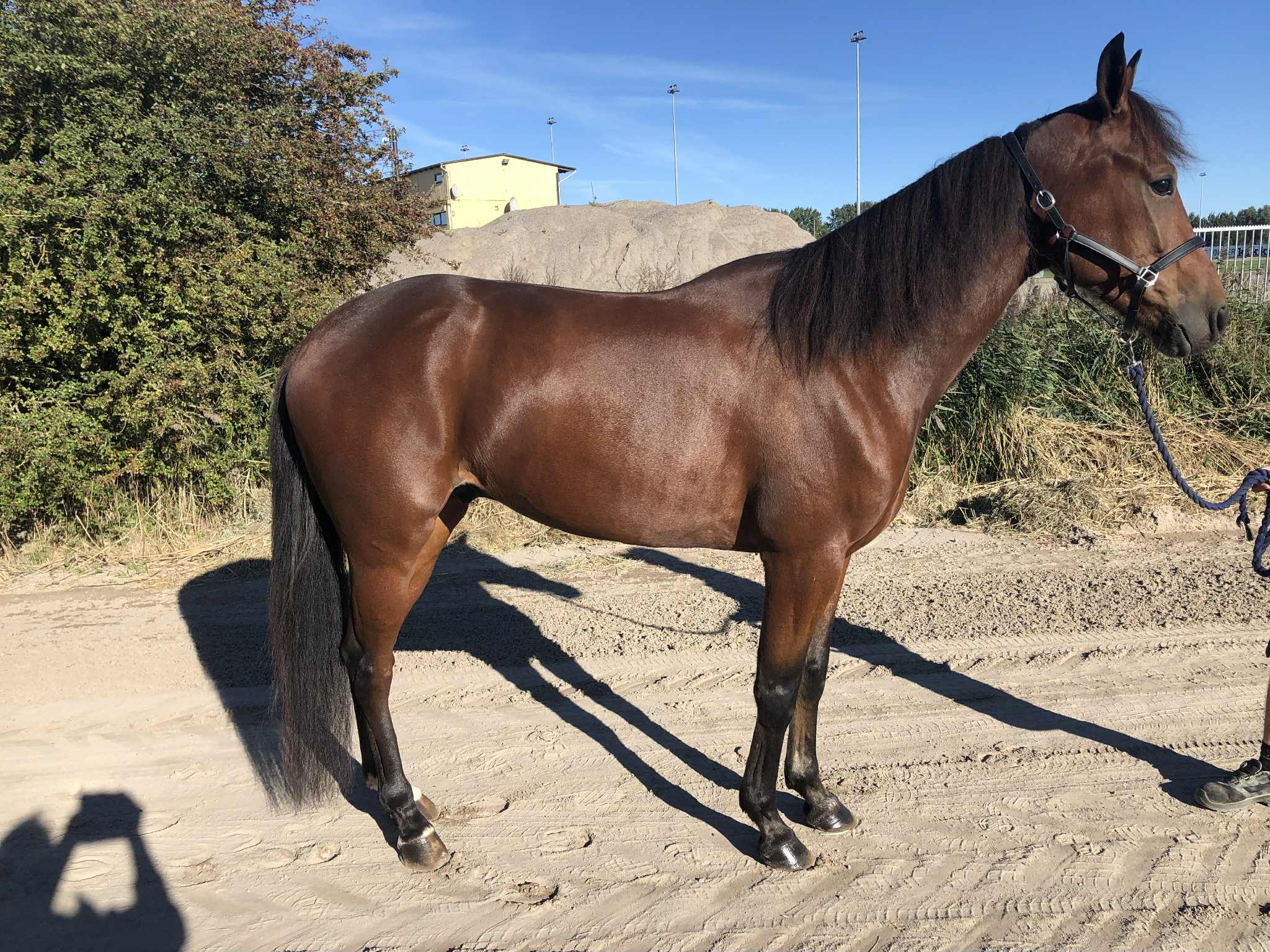 Starter i morgen - Salgsmenuen d9671de6-68da-4a9f-aee5-341ee692ead3
