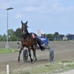 Kort nyt – De seneste travnyheder dobby