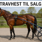 Salgsmenuen – Sådan ser det ud Salgsmenuen – Sådan ser det ud