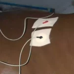 Hjerteproblemer hos travheste f52b4c24fc9ca