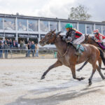 Vincennes i weekenden: First One Diamond får ny chance first_one_diamond (1)