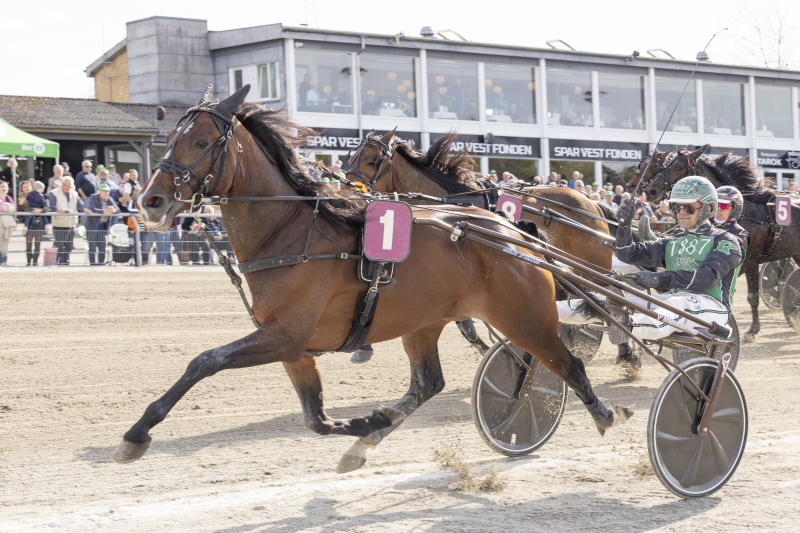 Frosty Hanovers Mindeløb vinderen til Tingsryd forrest_jet