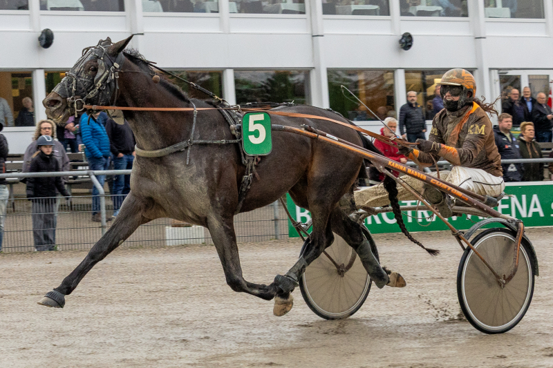 freja ice 2