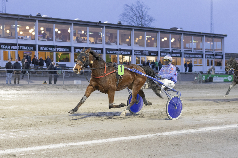 gigant toft 3