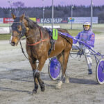 gigant_toft_4