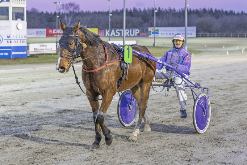 gigant toft 4