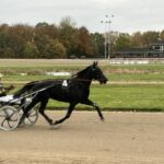 Startklar 4‑åring udbydes image0 (2)
