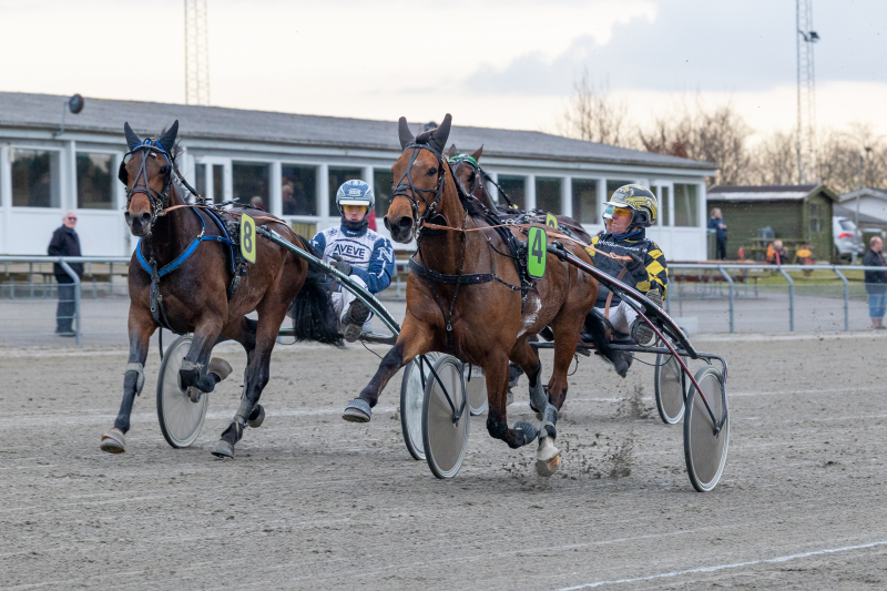 invictus d ave 2