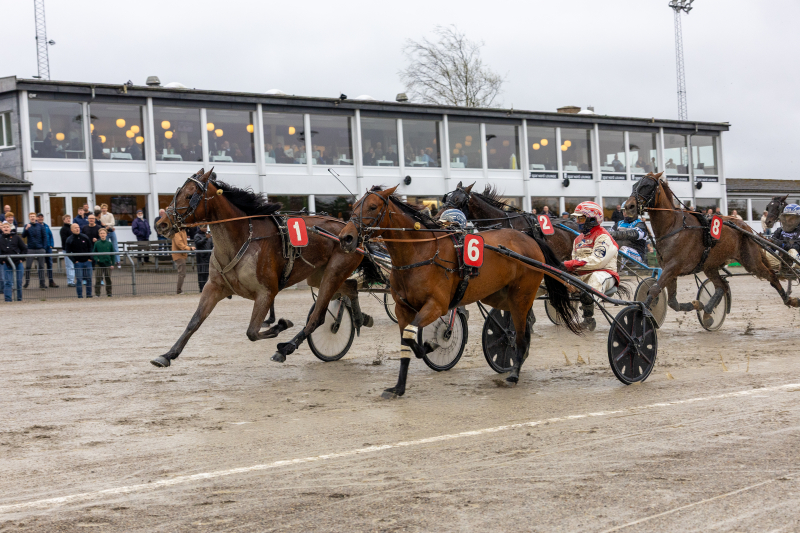 karolin d sleipner