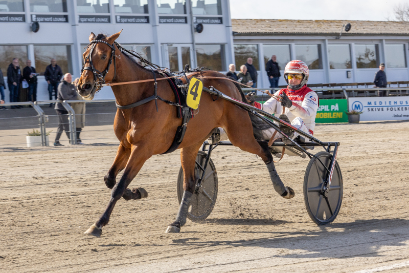 Sådan gik det i Skive komsa_langborg