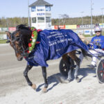 Lord Valentines Mindeløb - Kreadlys Lew i 10 tid kreadlys_lew_3