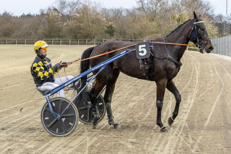larenne hill 2