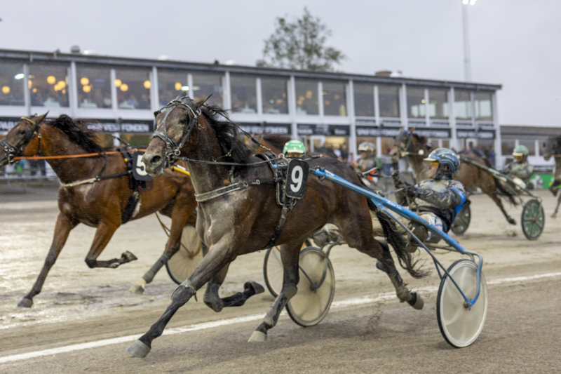 lasse h jga rd 2