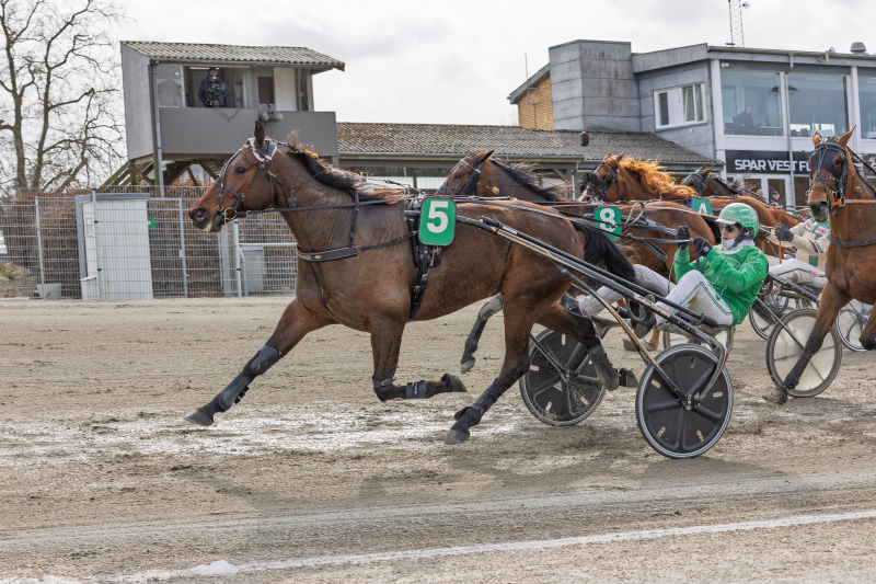 loric runancy 3