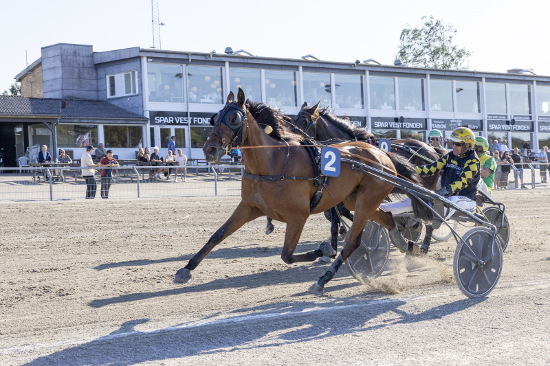 lotte bay