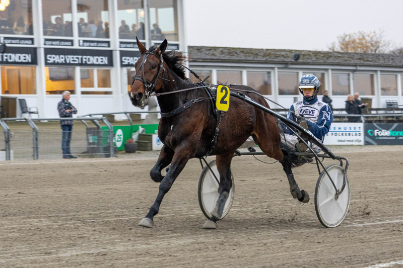 Sådan gik det i Skive loui-1
