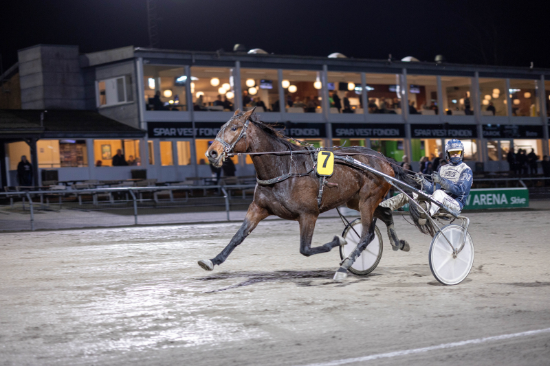 Sådan er det gået på BioCirc Trav Arena Skive loui