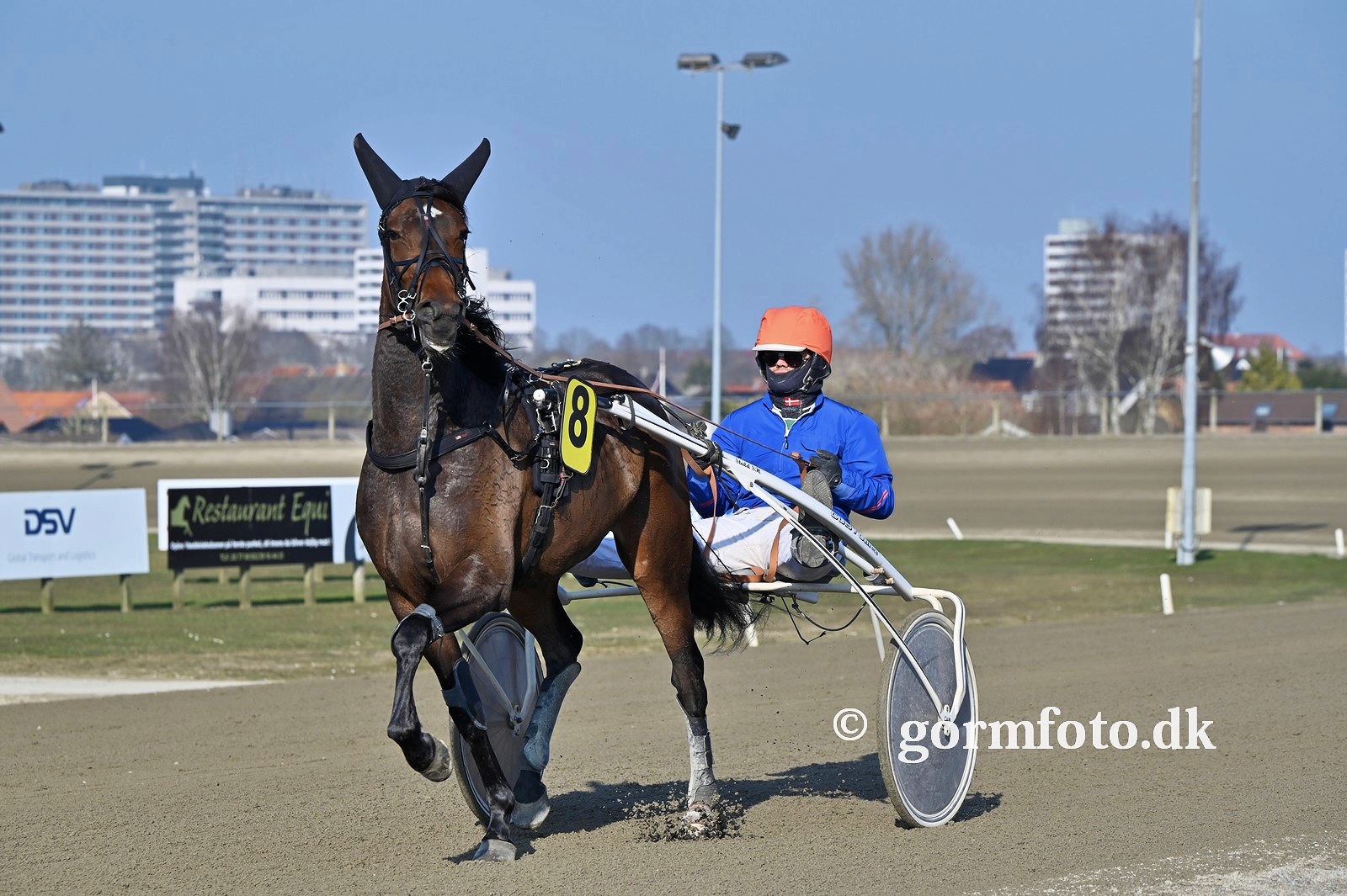 Jydsk 3-årings Hoppe Grand Prix - Sådan starter de luna