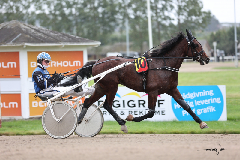 Carl Ejler Rasmussen – ejer af to ud af fem 2-åringer